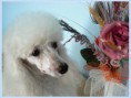 /album/fotogaleria/p1530616-jpg/